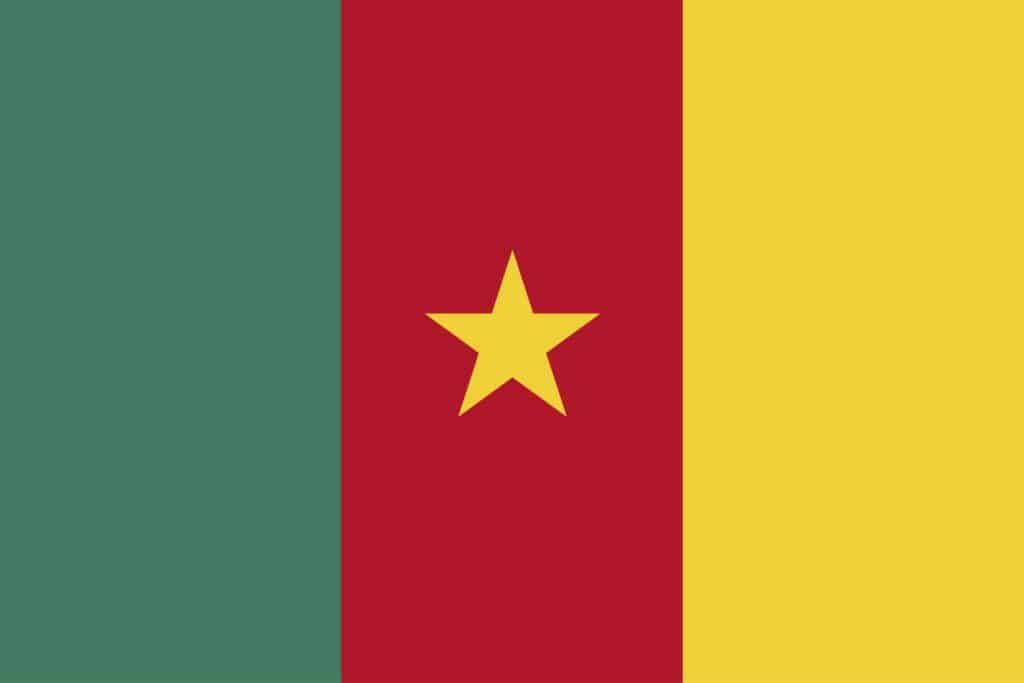 Bandiera del Camerun