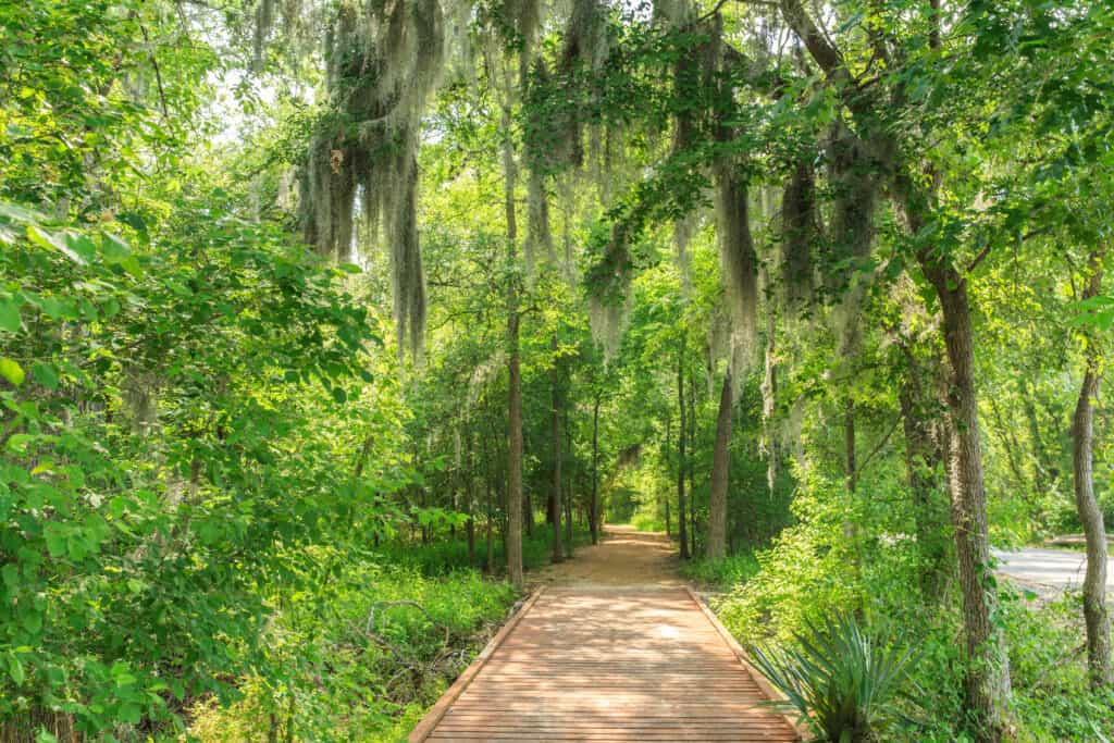 Palmetto State Park Texas 