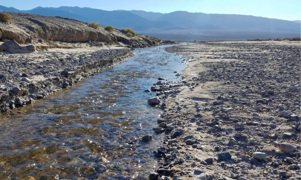 I fiumi più lunghi della California: il fiume Amargosa