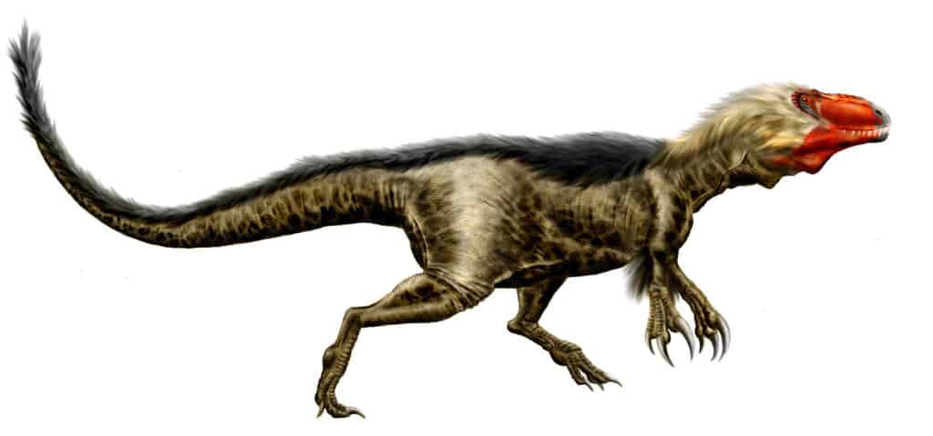 Dryptosaurus è un genere di dinosauri che viveva nel New Jersey