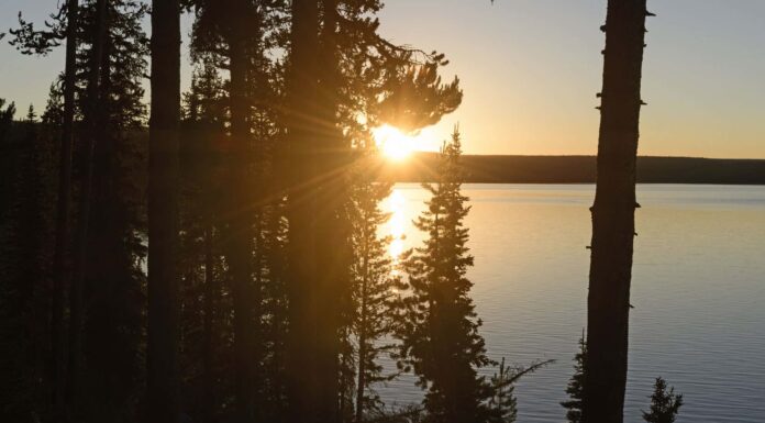 Yellowstone in Fall