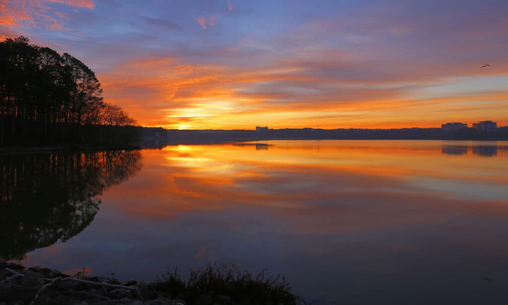 Lago Crabtree NC