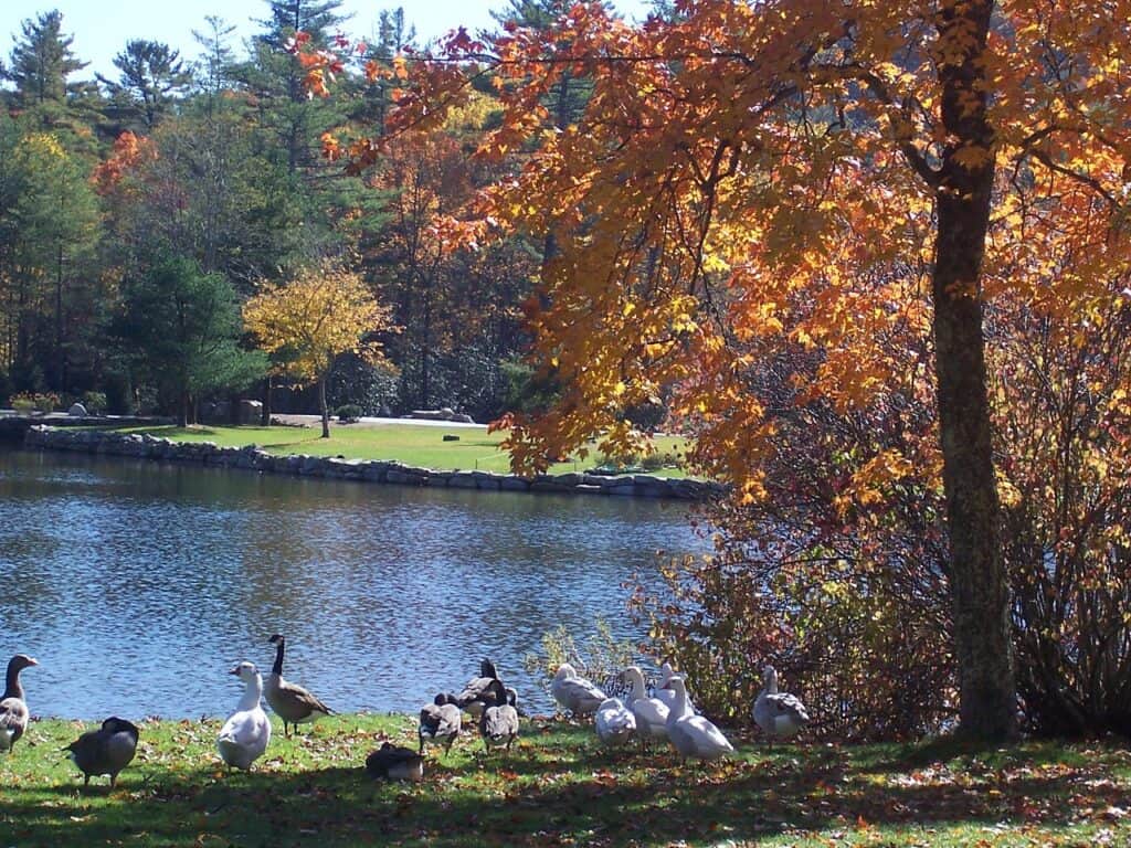 Harris Lake Carolina del Nord 