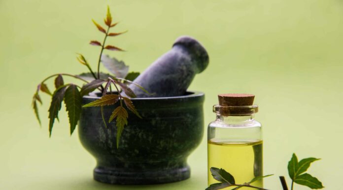 L'olio di neem funziona per sbarazzarsi degli afidi?
