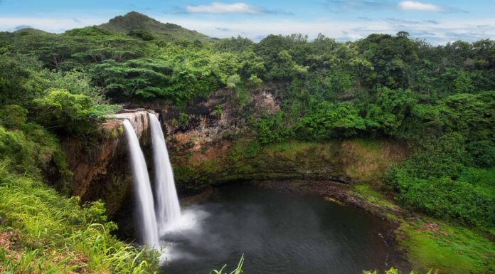 I 5 migliori spot per il birdwatching delle Hawaii quest'estate
