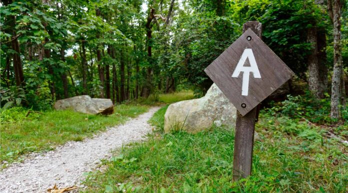 Appalachian Trail in Pennsylvania: 10 fatti che non sapevi
