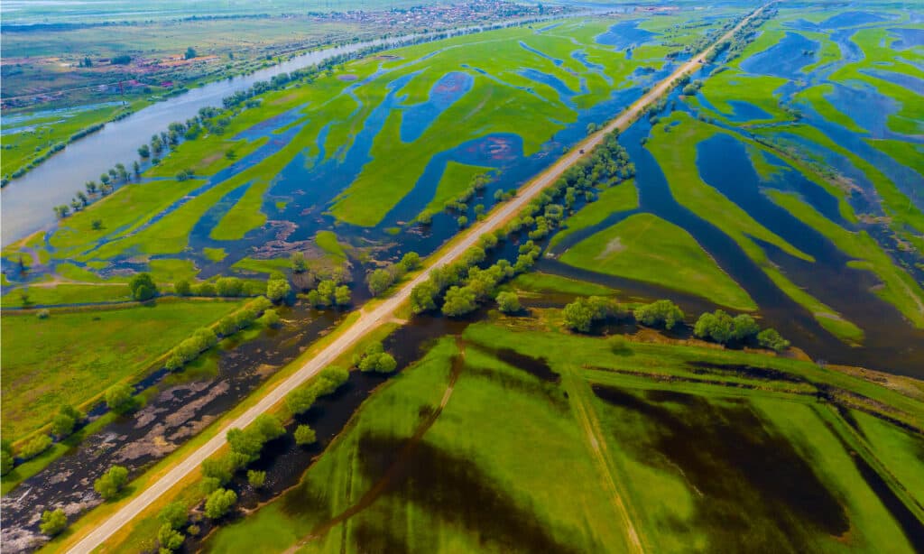 Il delta del Volga è uno dei più grandi delta fluviali sulla terra.