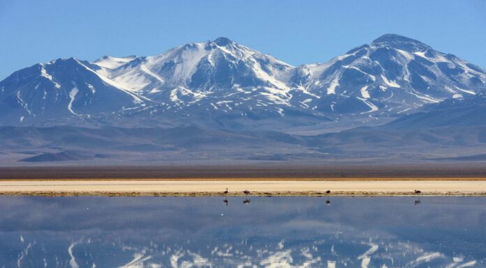 The largest mountain range on earth is the Andes mountain range.