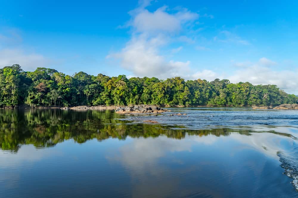 Escursione sul fiume Essequibo Vista dell'interno della Guyana e della foresta pluviale