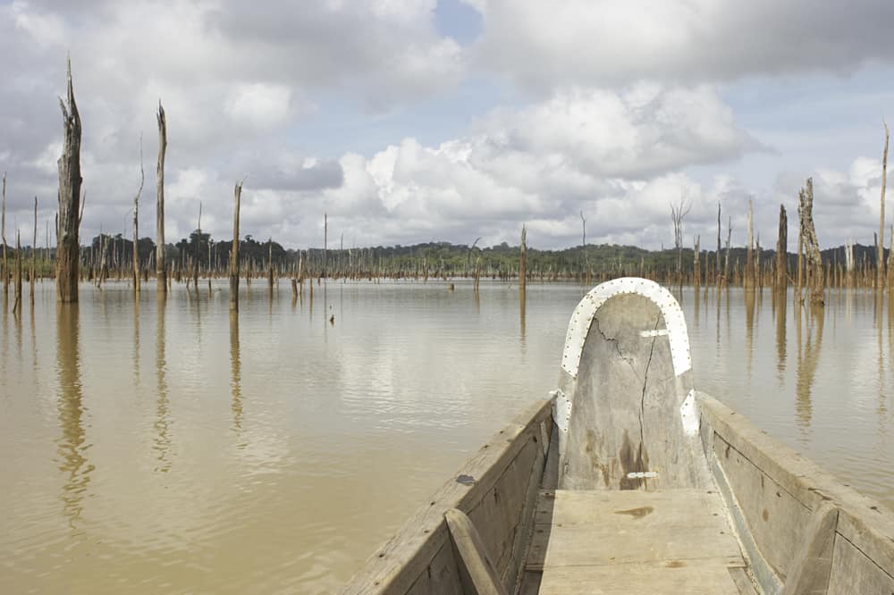 Piroga che naviga nel bacino idrico di Brokopondo, Suriname.