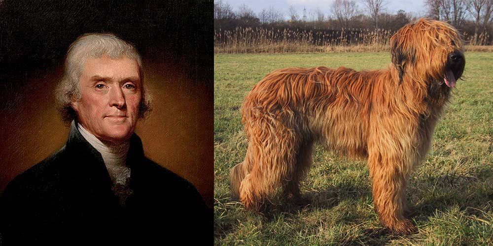 Il presidente Thomas Jefferson aveva cani Briard - First Dogs