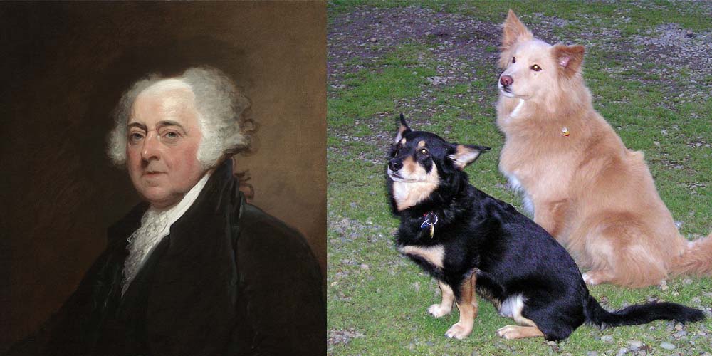 Il presidente John Adams aveva cani di razza mista