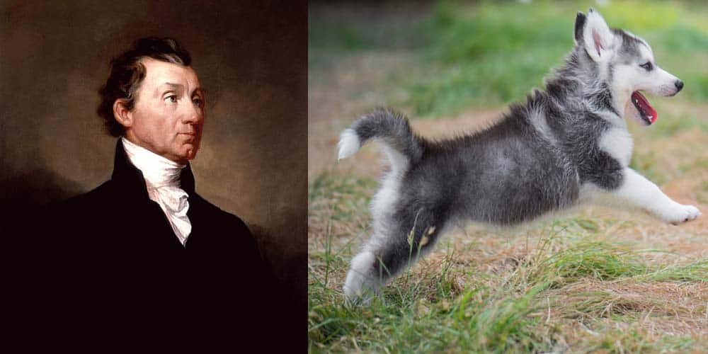 Il presidente James Monroe aveva un Siberian Husky