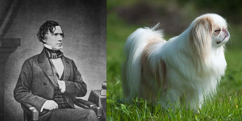 Il primo cane del presidente Franklin Pierce era un mento giapponese