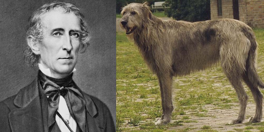 Il presidente John Tyler aveva un cane Wolfhound