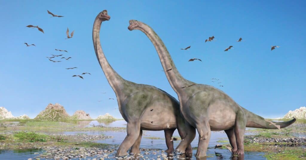 apatosauro contro brontosauro