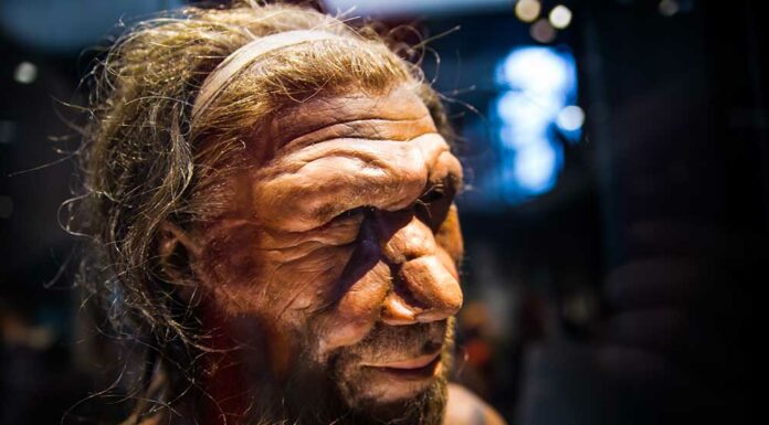 Quanti anni ha il Neanderthal più antico?
