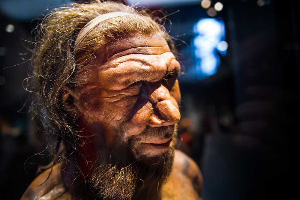 Il volto di un modello neanderthal.