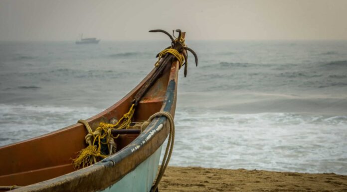 the largest bay in the world is the Bay of Bengal