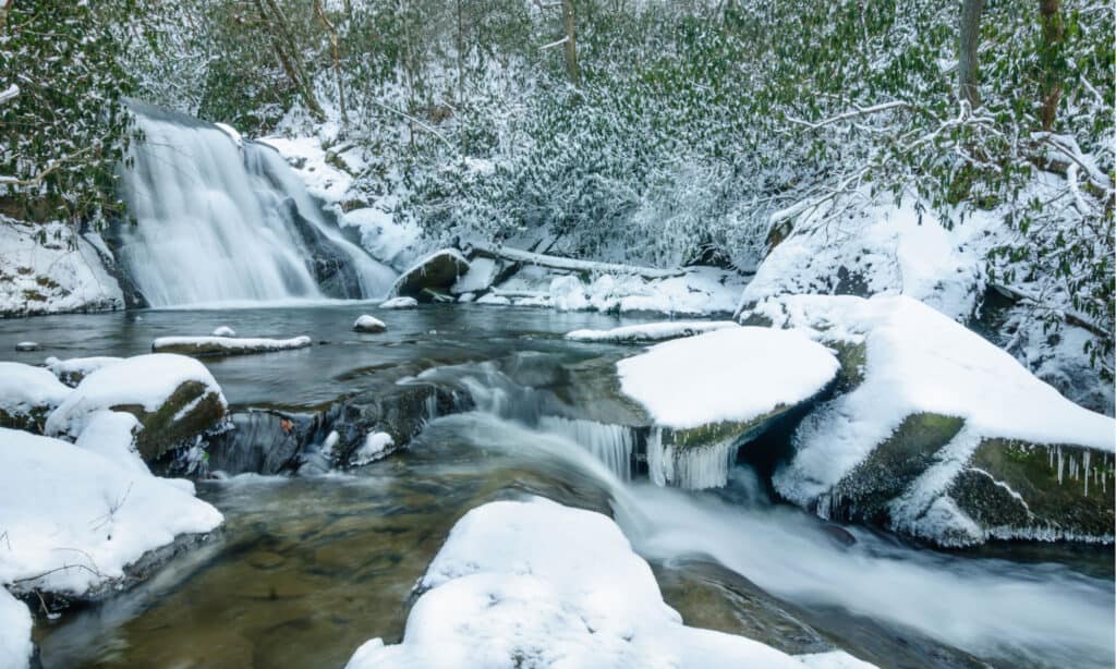 Great Smoky Mountain National Park in inverno