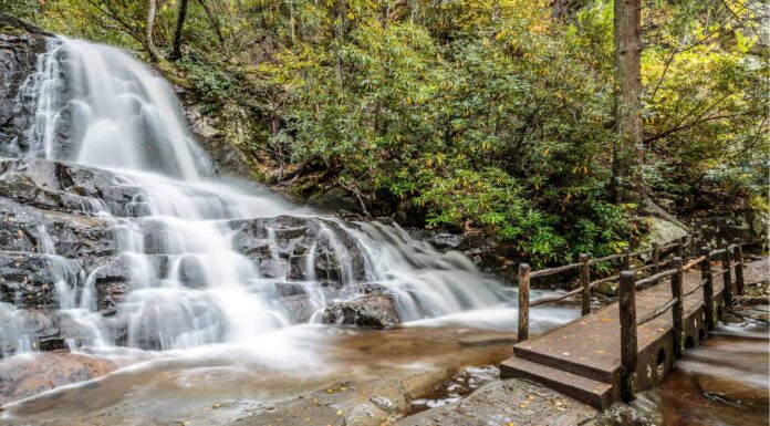 Le 10 cascate più perfette nelle Smoky Mountains (e dove trovarle)

