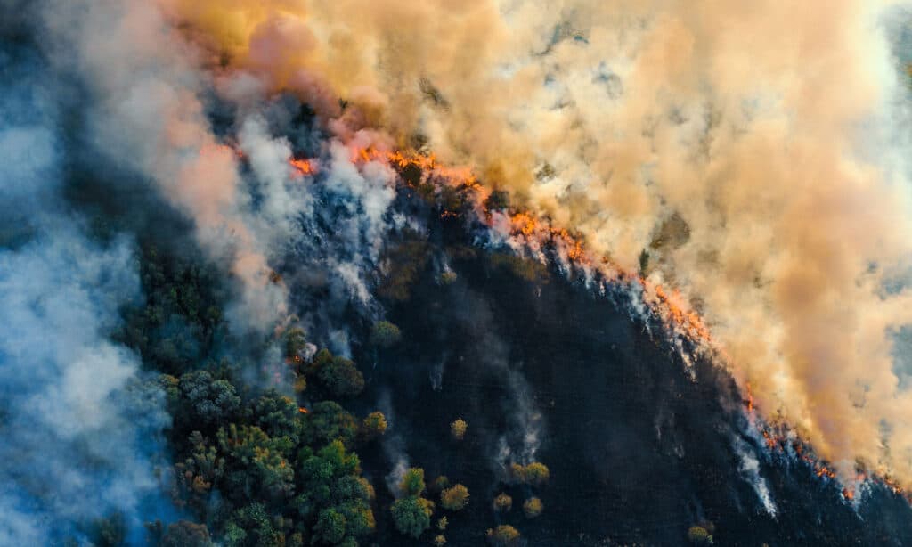 Bruciare l'erba con fuoco e fumo