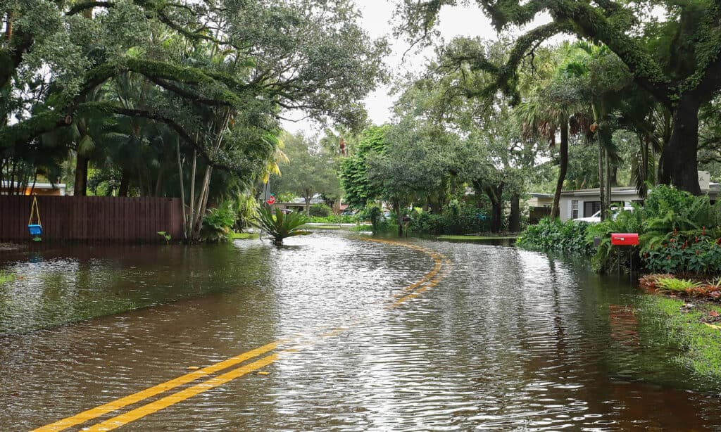 Florida - Stato USA, Stati Uniti, Fort Lauderdale, Inondazione, Strada