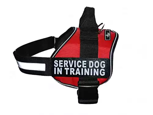 Doggie Stylz Service Dog in gilet da addestramento