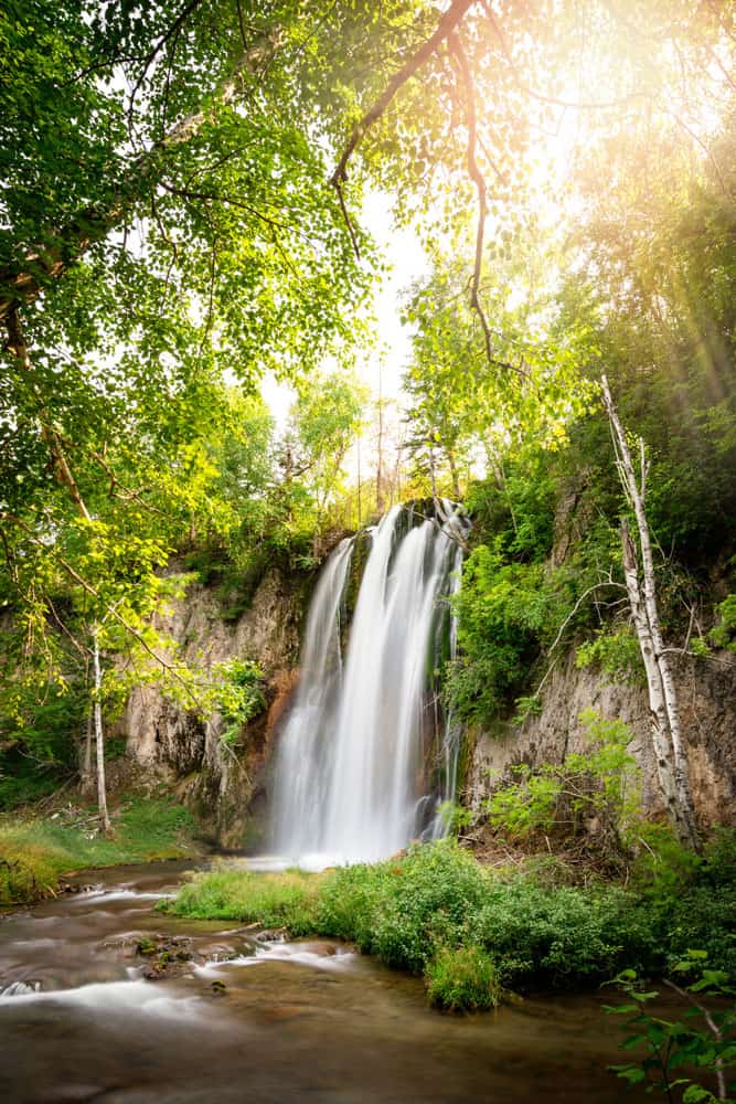 Spearfish cade nella foresta demaniale delle Black Hills