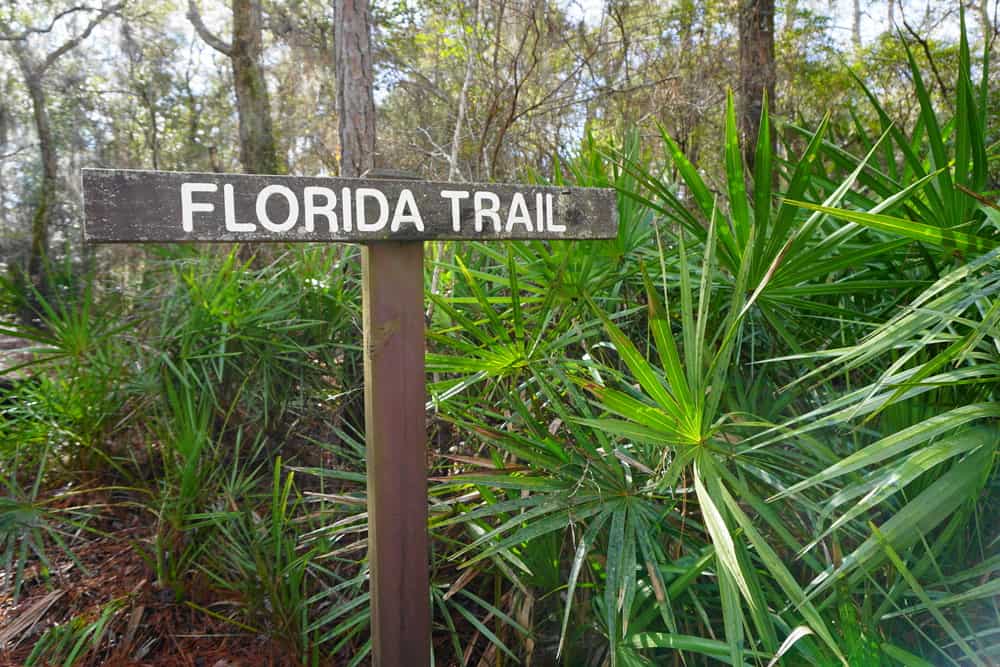 Florida,-,gennaio,17,,2015:,Florida,Sentiero,Sign,In,The