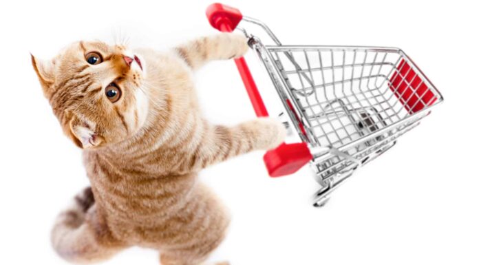 5 prodotti per gatti che dovresti acquistare direttamente da Walmart
