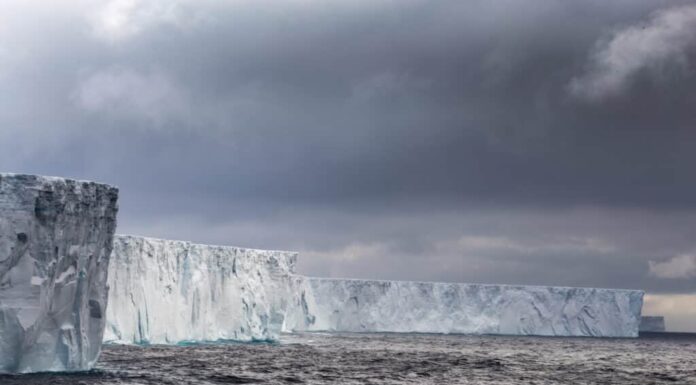 Guarda l'iceberg della vita reale 10 volte più grande di New York City
