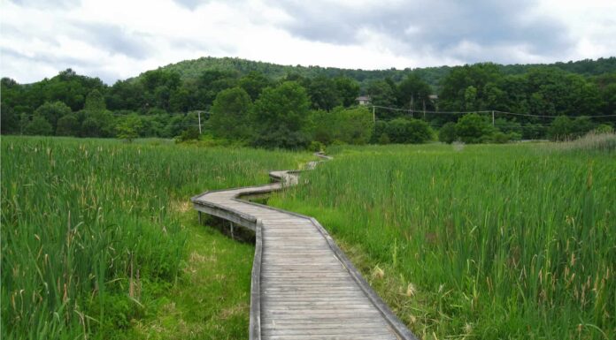 Appalachian Trail in Virginia: 10 fatti che non sapevi
