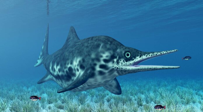 ichthyosaurs were the largest sea "dinosaurs" in history