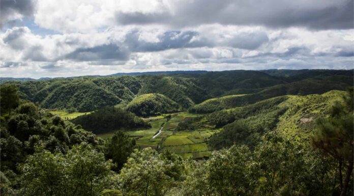 Scopri il luogo più umido della Terra con 39 piedi di pioggia!
