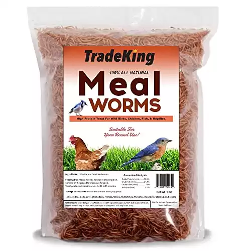 Vermi della farina essiccati TradeKing - Delizia ad alto contenuto proteico
