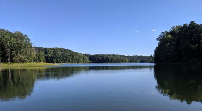 I 10 laghi più grandi del Delaware
