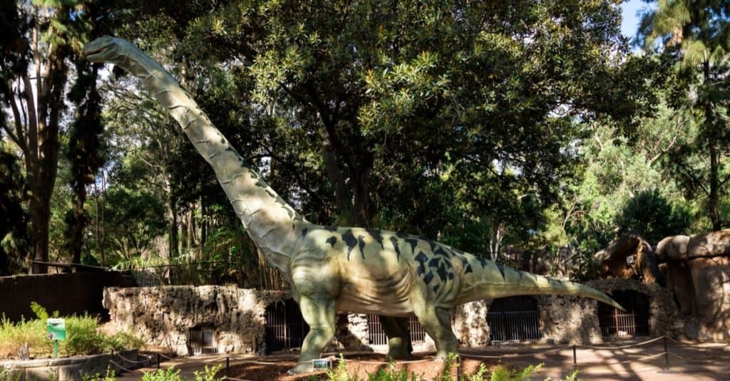 L'animale più grande che abbia mai camminato sulla Terra: l'Argentinosauro