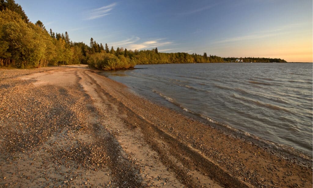 Lago Manitoba - Litorale