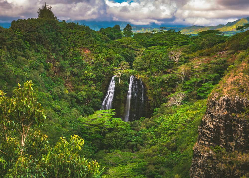 ʻŌpaekaʻa Falls, una cascata situata sul torrente ʻŌpaekaʻa nel Wailua River State Park sul lato orientale dell'isola di Kauai, Hawaii, Stati Uniti.