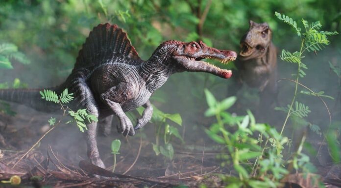 Spinosaurus vs Mosasaurus: chi vincerebbe in un combattimento?
