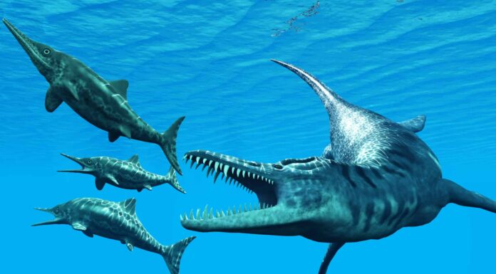 Liopleurodon vs Mosasaurus