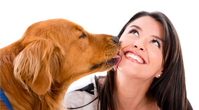 Perché i cani leccano le persone?

