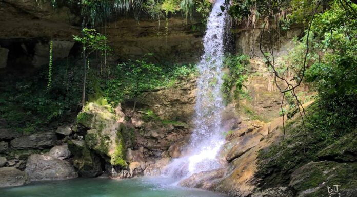 Juan Diego Falls