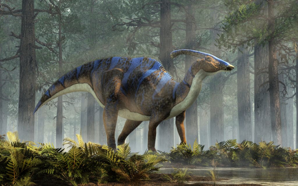 parasaurolophus, un tipo di dinosauro ornitopode erbivoro