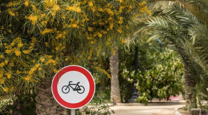 La pista ciclabile più lunga della Florida
