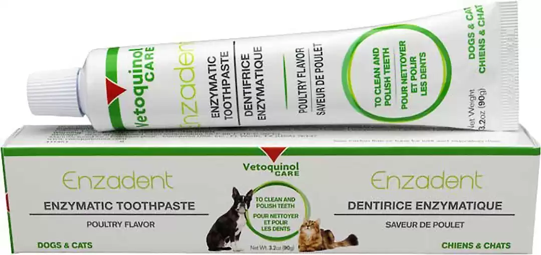 Dentifricio per cani e gatti Vetoquinol Enzadent Enzymatic Poultry Flavor