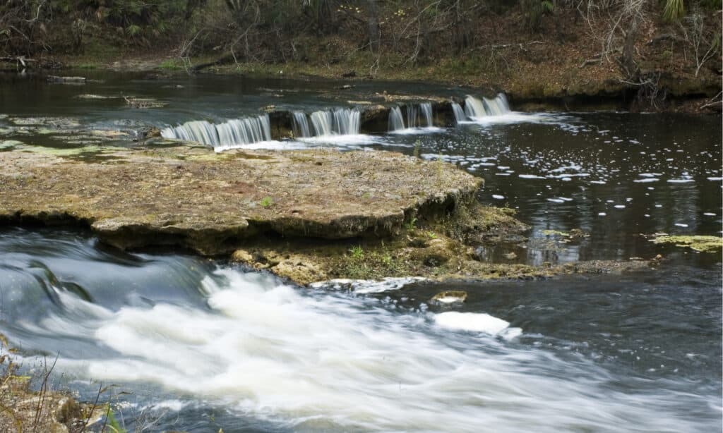 Cascate Steinhatchee