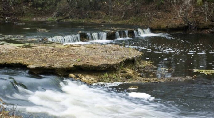 Falling Waters Sinkhole Trail