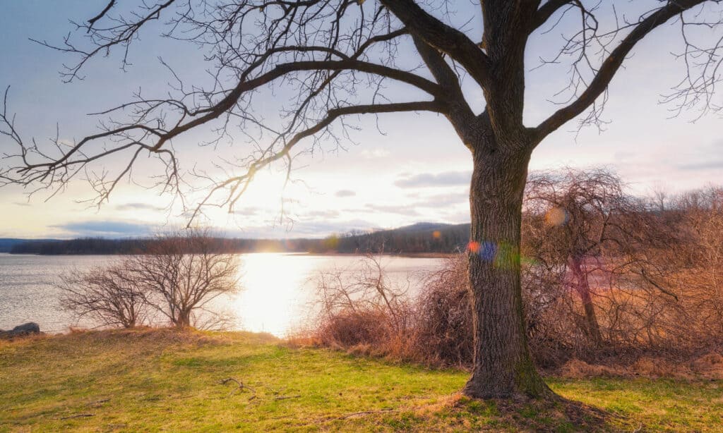 Spruce Run Reservoir